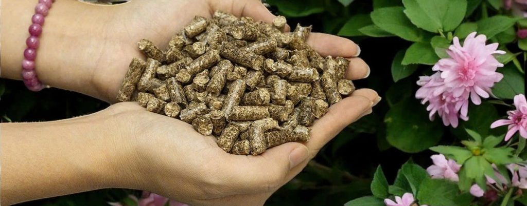 wood pellet supplier Vietnam