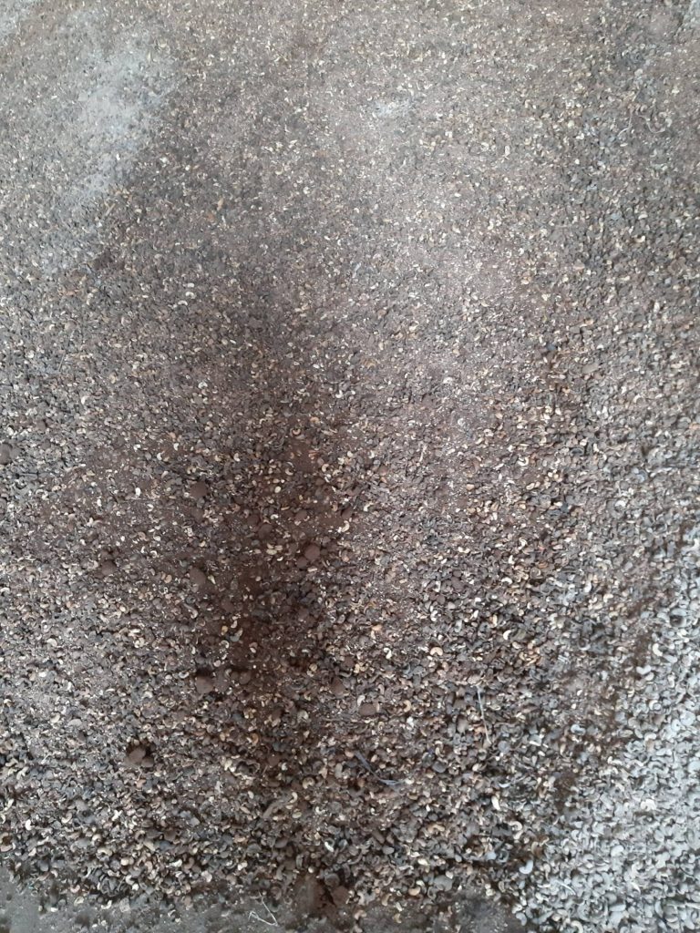 PhatNguyen Supply: Your Trusted Source for High-Quality Wood Products