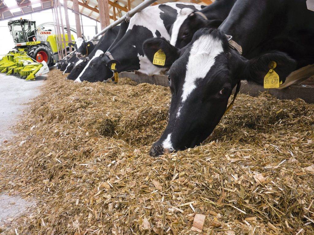 PhatNguyen Supply: Your Trusted Source for High-Quality Wood Products