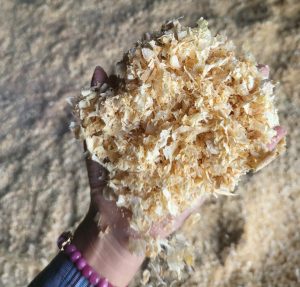 pine shavings for animal bedding supplier Vietnam