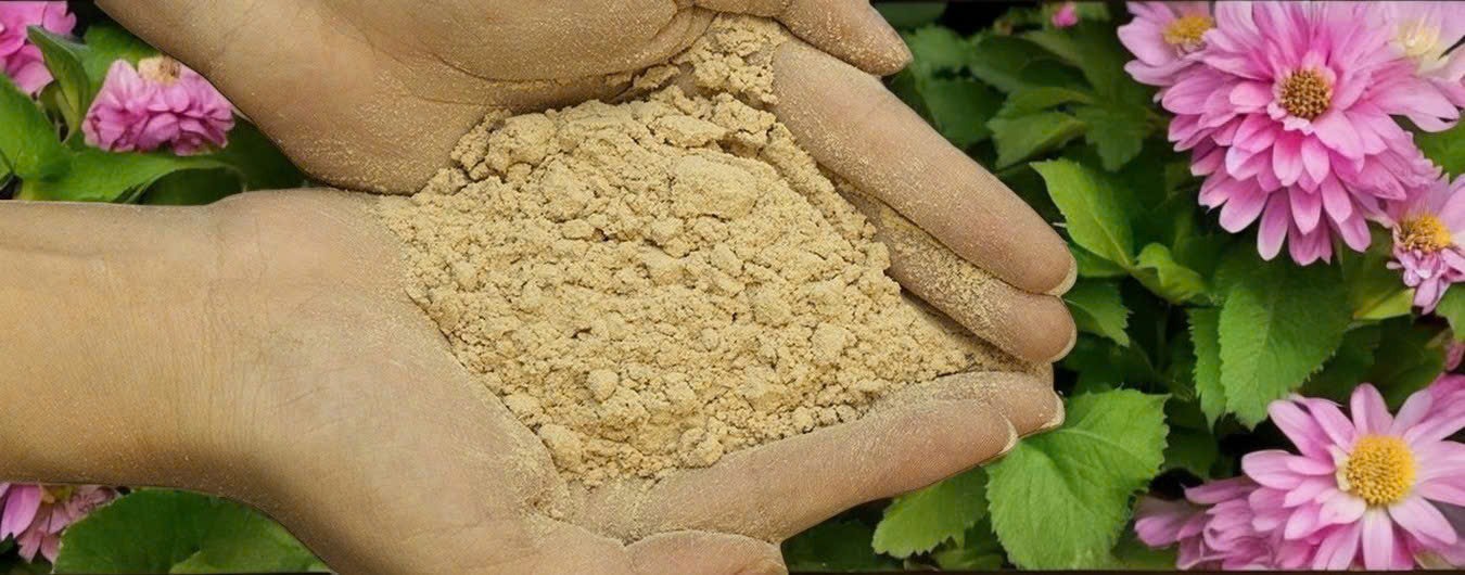 wood-powder-supplier